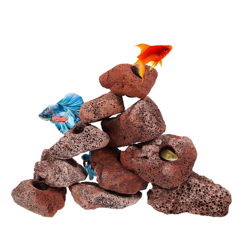 Planted Aquarium With Rocks - 10 Chiếc Đục Lỗ Hở Đá