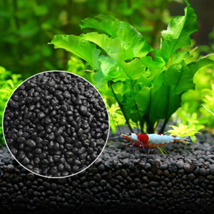 Aquarium Plant Liquid Fertilizer - Bể Cá Cảnh Vật Có Hạt