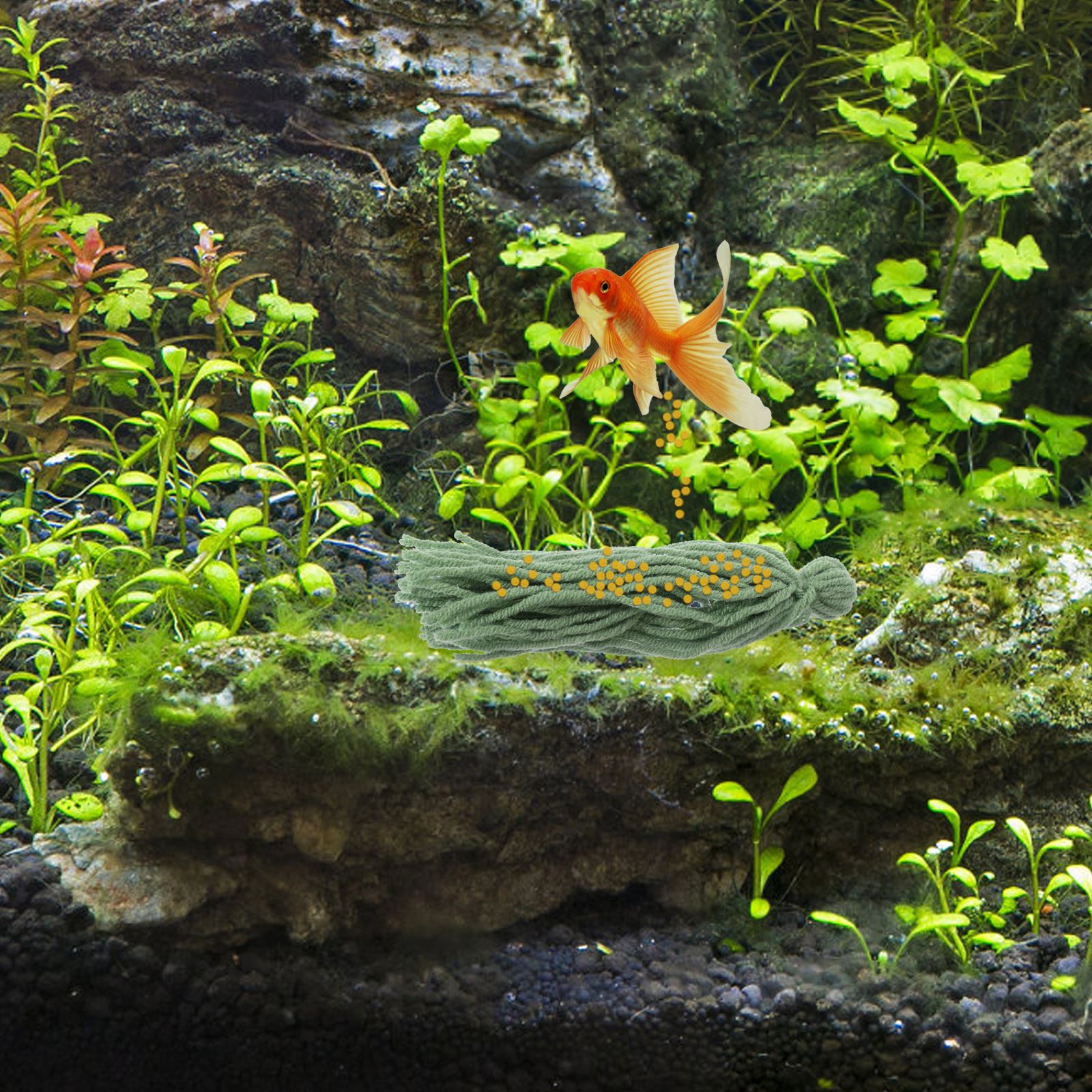5pcs Fish Tank Spawning Breed  - đánh giá và giá Aquarium Plant Liquid Fertilizer