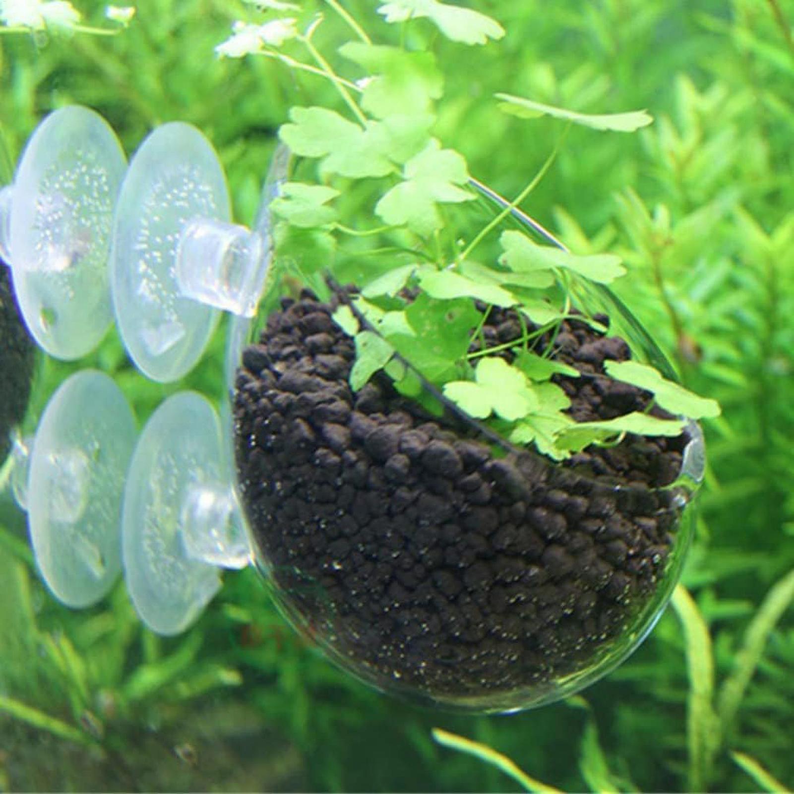 Aquarium Plant Holder Glass Aq - đánh giá và giá Aquarium Plant Gel