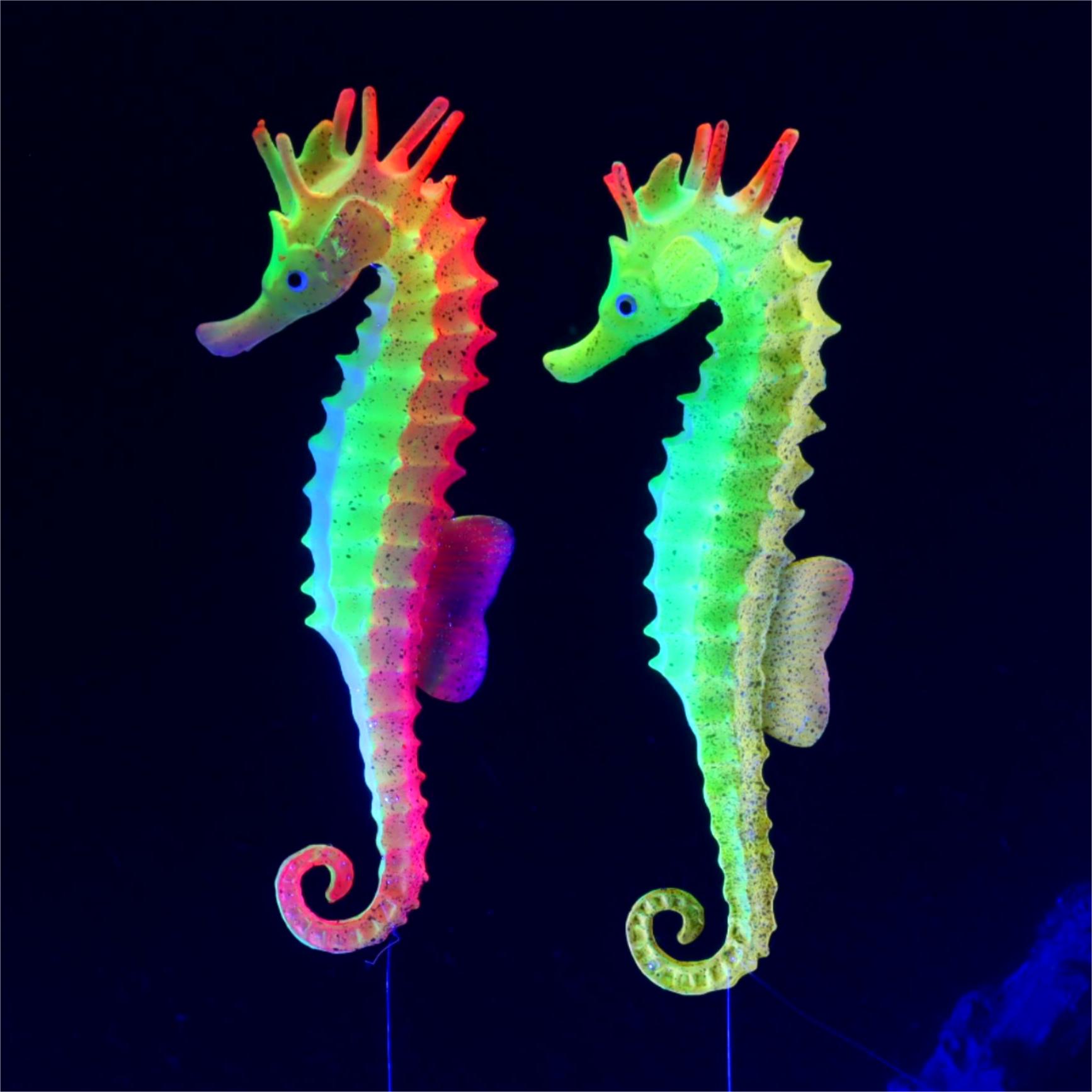 1pc Fish Tank Decoration Lumin - đánh giá và giá Aquarium Plant Gel