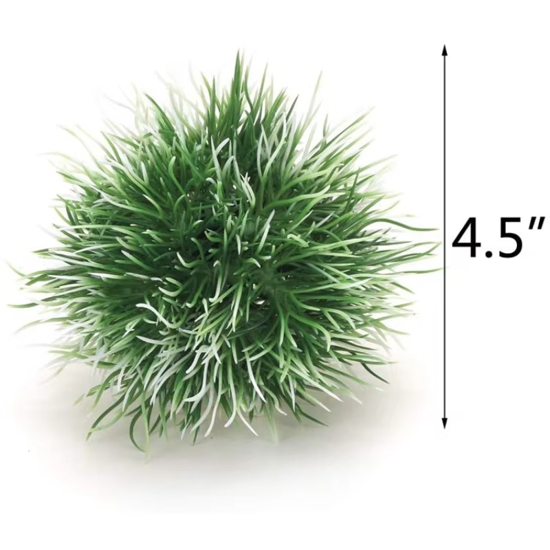 10pcs Hot Selling New Arrival  - đánh giá và giá Planted Aquarium With Rocks