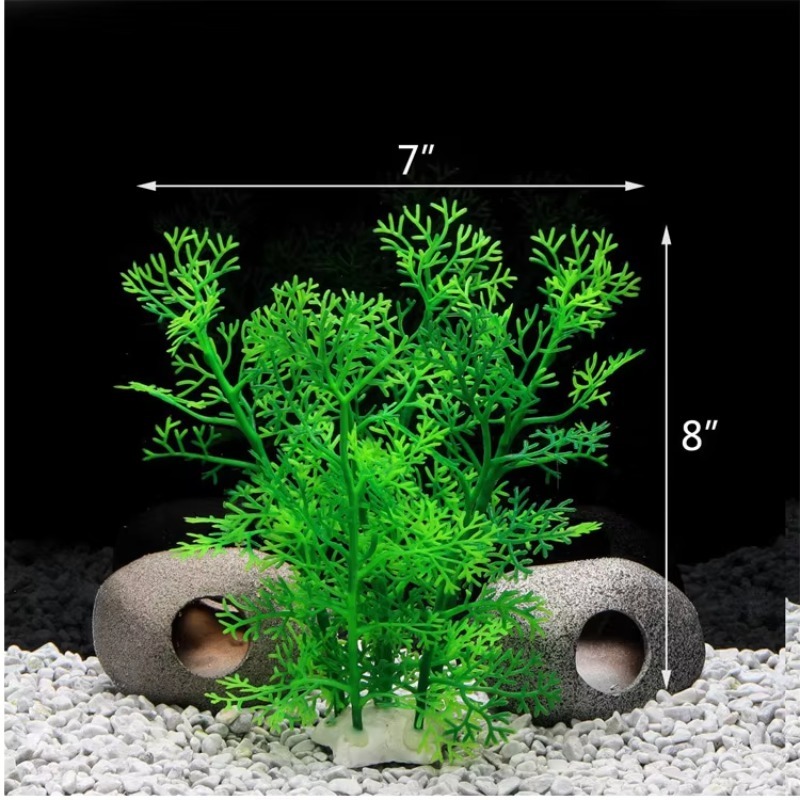 10pcs Hot Selling New Arrival  - đánh giá và giá Planted Aquarium With Rocks
