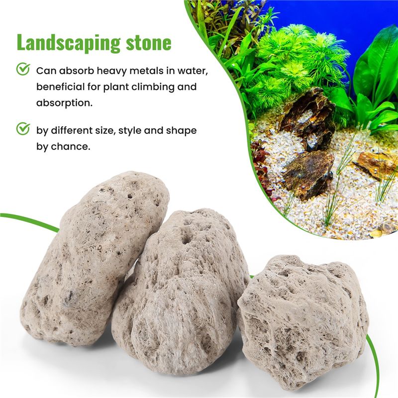 A20F-3Pcs Floating Real Rocks  - đánh giá và giá Planted Aquarium With Rocks