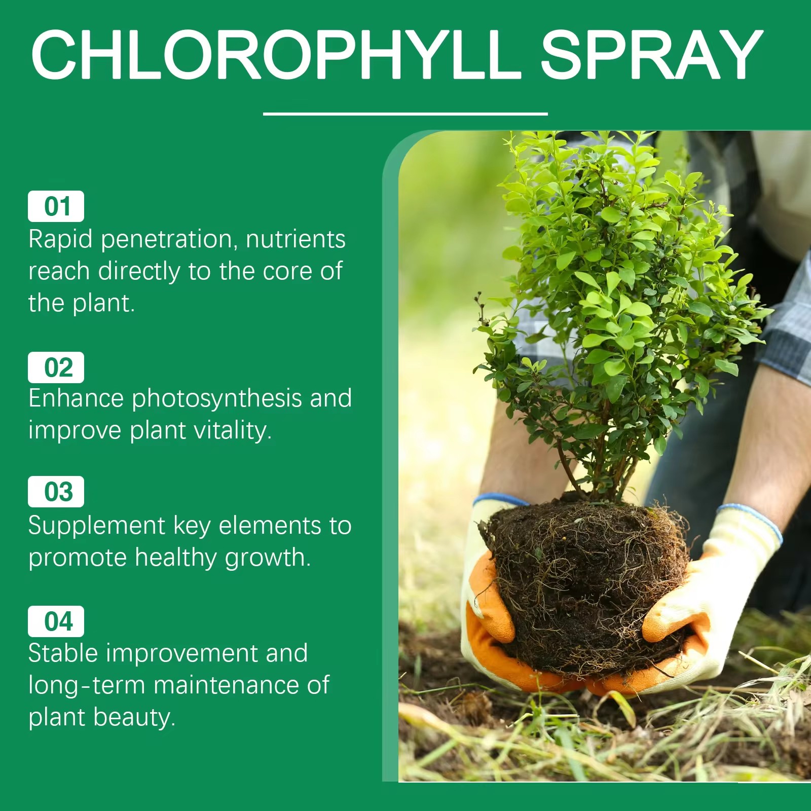 MOONSPRY Succulent Root Booste - đánh giá và giá Aquarium Plant Liquid Fertilizer