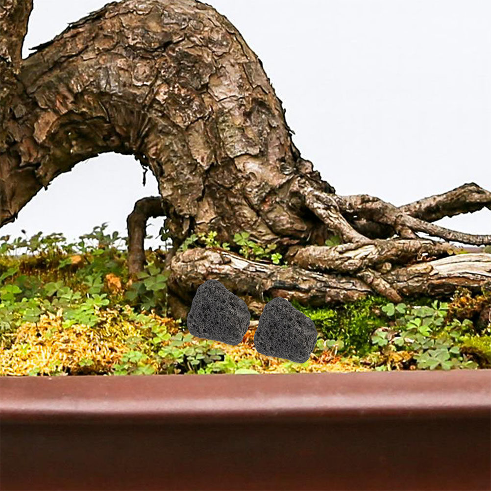 Fish Tank Volcanic Rocks Natur - đánh giá và giá Planted Aquarium With Rocks