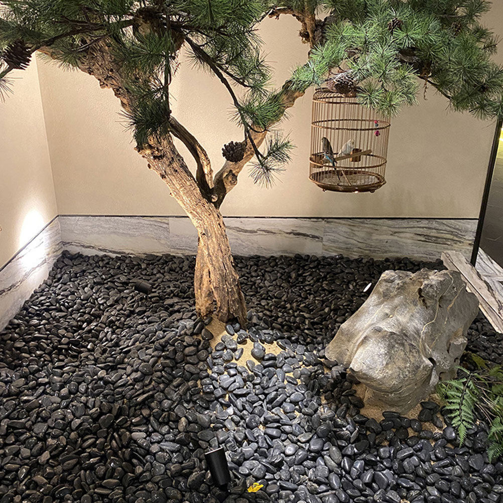 1Set Landscape Beautification  - đánh giá và giá Planted Aquarium With Rocks
