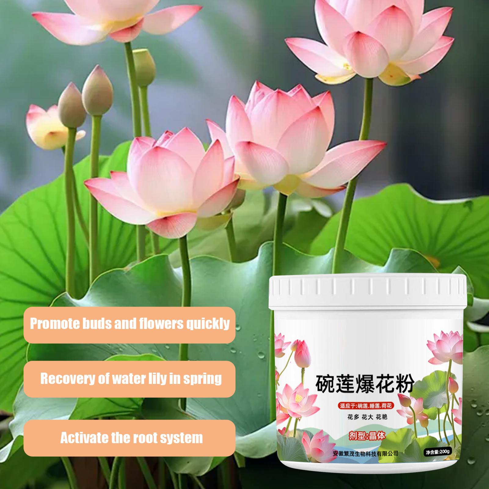 Aquatic Plant Food Water Lily  - đánh giá và giá Aquarium Plant Liquid Fertilizer