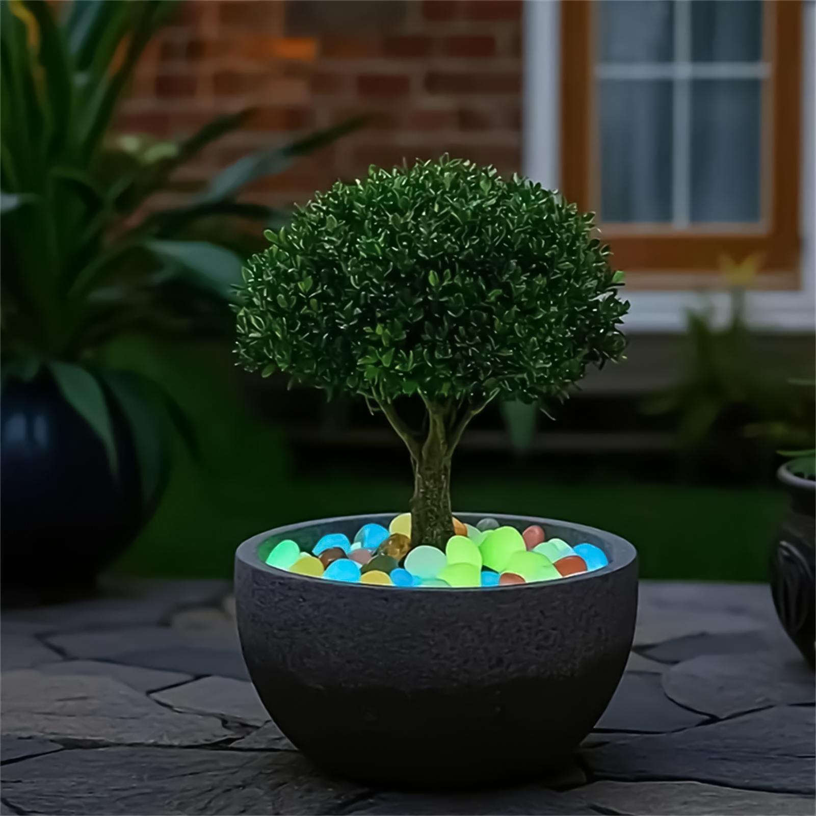 Landscaping Rocks 20 Pieces 1. - đánh giá và giá Planted Aquarium With Rocks