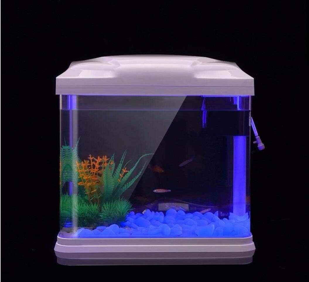 Fish Tank Rocks Glow Blue Pebb - đánh giá và giá Planted Aquarium With Rocks